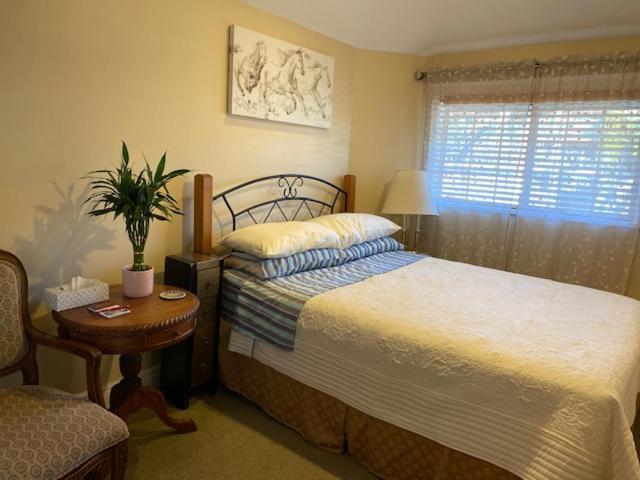 Ocean Breeze Executive Bed And Breakfast Βόρειο Βανκούβερ Εξωτερικό φωτογραφία
